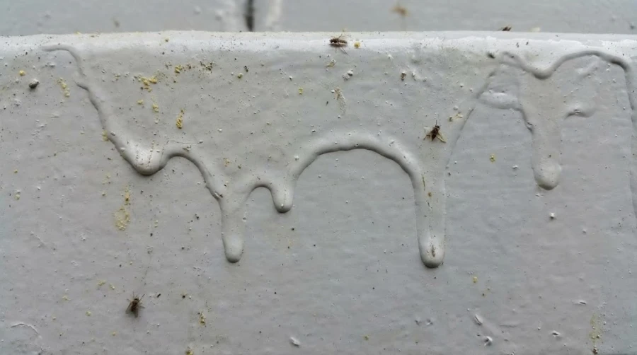 defekty-pokraski-maslyanoy-kraskoy